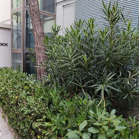 Vista Sul Mare Appartement Llido Degli Estensi