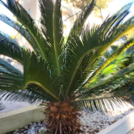 Vista Sul Mare Appartement *