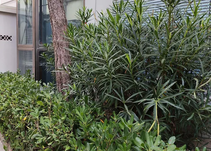 Vista Sul Mare Appartement Llido Degli Estensi