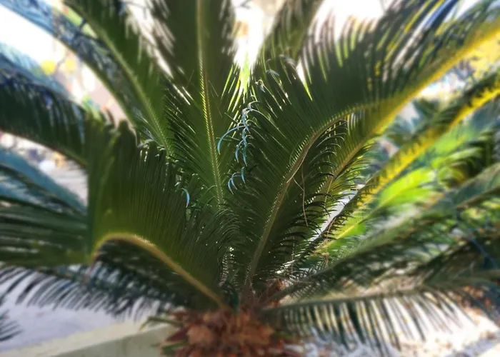 Vista Sul Mare Lägenhet *